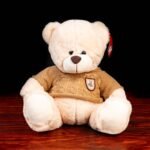 Oso de Peluche